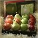 Free Shipping! Fruit Traditions
