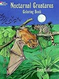 Nocturnal Creatures Coloring Book