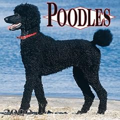 Poodles 2000 Calendar