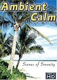 Ambient Calm: 14 Serene Scenes of Relaxation, Wellness, and Stress Relief
