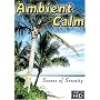 Ambient Calm: 14 Serene Scenes of Relaxation, Wellness, and Stress Relief