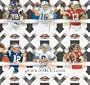 2009 Donruss Threads Football Series Complete Mint 100 Card Basic Hand Collated Veterans Set. Loaded with Stars Including Adrian Peterson, Reggie Bush, Matt Ryan, Matt Forte, Vince Young, Calvin Johnson, Kurt Warner, Joe Flacco, Matt Leinart, Darren McFadden, Joseph Addai, Jay Cutler, Peyton Manning, Brian Urlacher, Steve Slaton, Tony Romo, Eli Manning, Tom Brady, Drew Brees and More!