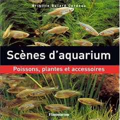 Sc�nes d'aquarium : Poissons, plantes et accessoires