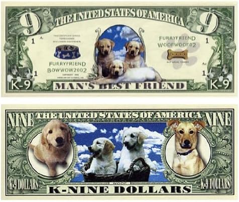 DGS OriginalsYorkie A Spoiled Rotten Yorkie Lives Here Dog Sign v3 Featuring The Art of Scott Rogers w/Bonus Novelty Man’s Best Friend 9 Dollar Bill