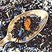 Organic Earl Grey Choice Loose Leaf Tea: 3-Time Award Winning Loose Leaf Black Tea - Hand-Blended, High-Grown Organic Black Tea - An Invigorating Tea for All Occasions (6 oz)