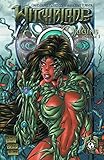 Witchblade: origins. Volume 1