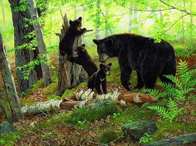 Playtime 1000pc Jigsaw Puzzle by Persis Clayton Weirs