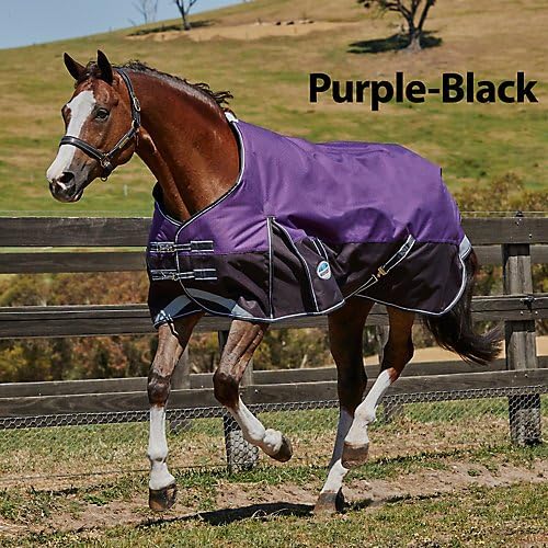 ComFiTec Plus Dynamic Std Sheet