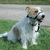 Halti Headcollar, Black, Size 1