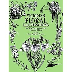 Victorian Floral Illustrations (Dover Pictorial Archives)