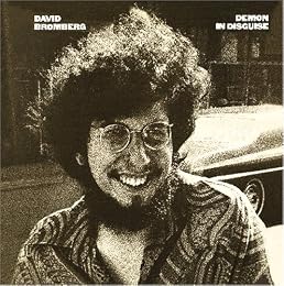 David Bromberg Picture 5