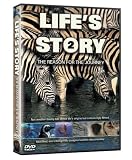 Lifes Story 2: The Reason For The Journey