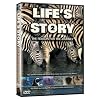 Life's Story 2: The Reason For The Journey