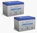Schwinn 12 Volt 10 Ah Electric Scooter Batteries - Set of 2