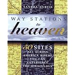 Way Stations to Heaven: 50 Major Visionary Shrines in the United States book cover