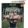 Foolproof Guide to Growing Roses