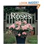 Foolproof Guide to Growing Roses