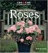 Foolproof Guide to Growing Roses