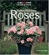 Foolproof Guide to Growing Roses