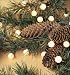 Tallow Berry Battery-Powered Light String