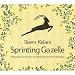 Sprinting Gazelle