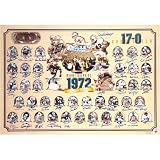 Miami Dolphins 1972 Perfect Season Collage Team Signed Lithograph