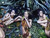 Charmed #2