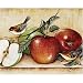 Magic Slice Non-Slip Flexible Cutting Board, Gourmet Size 12 x 15, Apples & Warblers by Carter Brown
