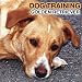 Dog Training - Golden Retrievers