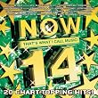Now That's What I Call Music! 14