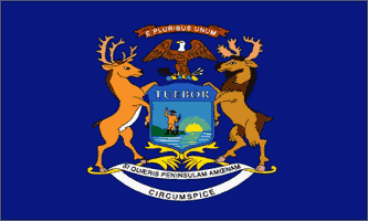 Michigan Flag Polyester 2 ft. x 3 ft.