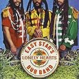 Easy Star's Lonely Hearts Dub Band [Vinyl]