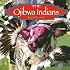 The Ojibwa Indians (Native Peoples)