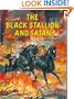 The Black Stallion and Satan