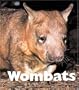 Wombats (Naturebooks: Mammals)