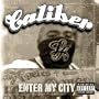 Enter My City