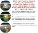 Search : The Fantastic Make An Extra Income, Success Principles and eCommerce for Keys Web Businesses 3 CD Power Pack