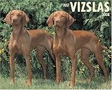 Just Vizslas 2008 Calendar (Just)