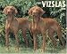 Book Just Vizslas 2008 Calendar (Just)