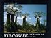 Succulent and Xerophytic Plants of Madagascar, Vol. 1