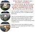 Search : The Best Make An Extra Income, Accounting & Finance and eCommerce for Baby Chairs On-line Biz Package (3 CDs)