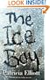 The Ice Boy