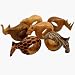 Mahogany Wood Animal Napkin Rings - Set of Six KWF012