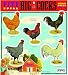 Blue Q Five Big Cocks Magnet Set