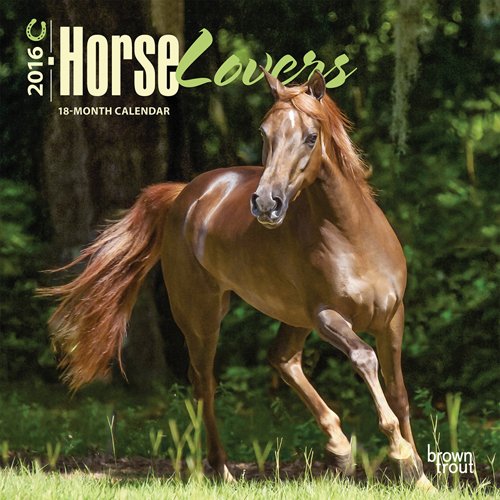 Horse Lovers 2016 Mini 7x7