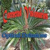 Optical Delusions