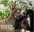mehr Infos hier...