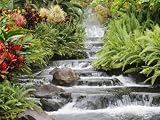 Rushing Water vol 1 (vol 1 & 2)