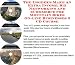 Book The Insider's Make An Extra Income, Biz Networking and eCommerce for Mountain Bikes On-line Businesses 3 CD Course