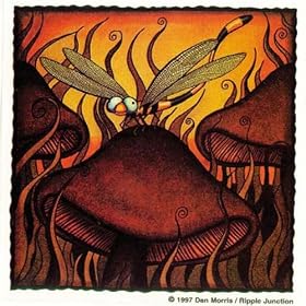 Dragon Fly Mushroom Decal - Sticker Nature